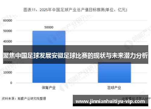 聚焦中国足球发展安徽足球比赛的现状与未来潜力分析