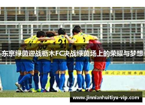 东京绿茵迎战枥木FC决战绿茵场上的荣耀与梦想